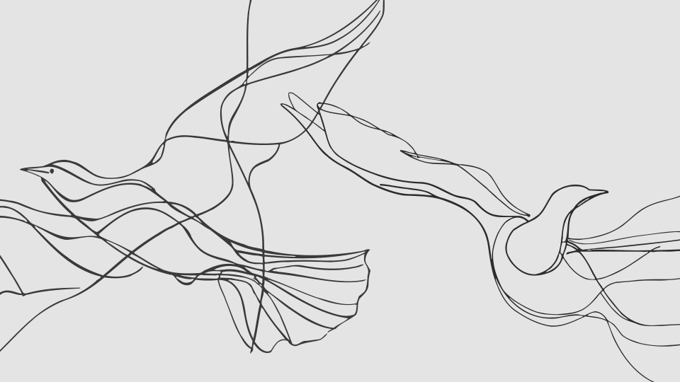 A spare line drawing suggesting avian form