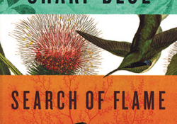 The cover to Sharp Blue Search of Flame by Zilka Joseph