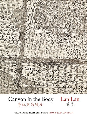 Canyon in the Body