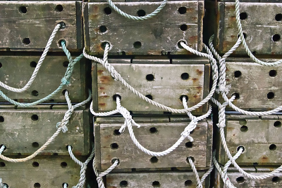 Crates. Photo by Fiona Baxter/Flickr