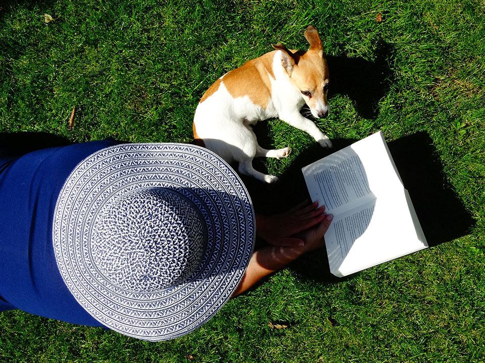 Woman reading book outside in green grass with a terrier.