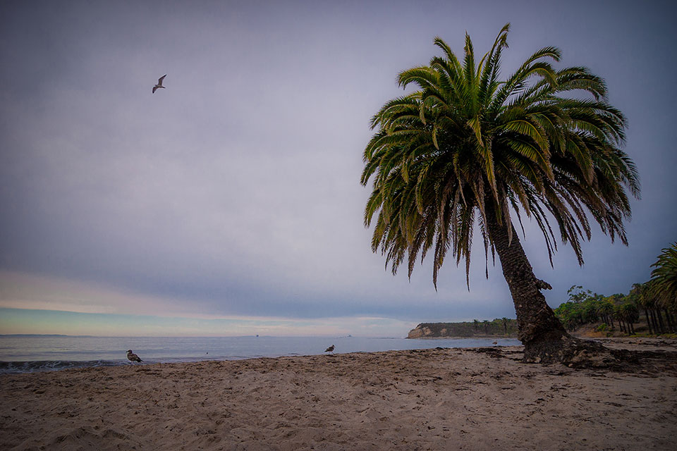 Refugio Beach. Photo by David Cantu.