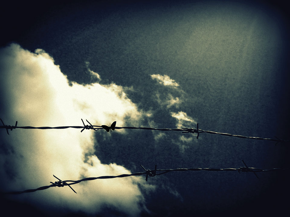 Two strands of barbed wire stand in the foreground against a backdrop of yellowish clouds in a wine-dark sky