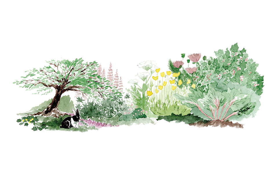 An illustration done in colored pencil of a rabbit sitting in a forest garden