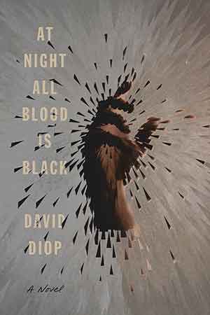 at night all blood is black david diop