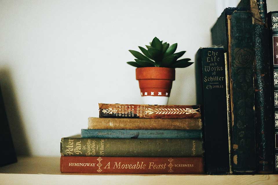 A photograph of a small stack of old books with a small succulent in a terra cotta pot resting on top of them 