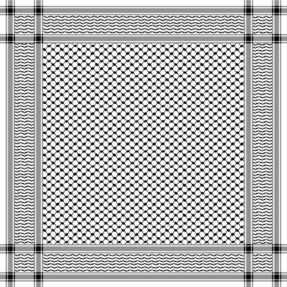 A geometric pattern of intricate interwoven lines