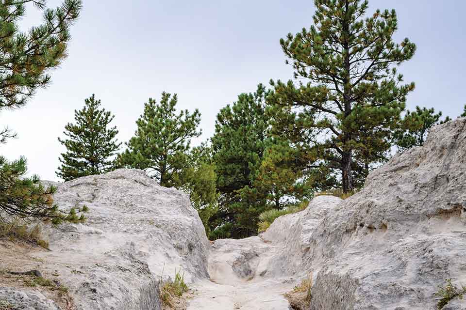 Nine Places Where You Can Still See Wheel Tracks from the Oregon Trail, by  Beth Piatote