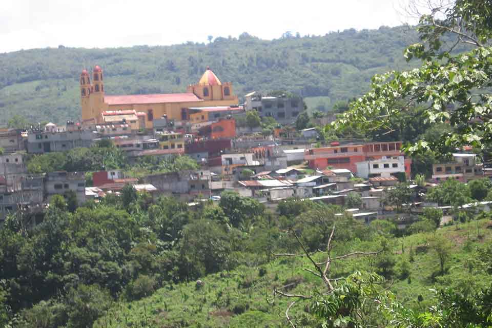 A photograph of a town nestled among the trees on a hill side