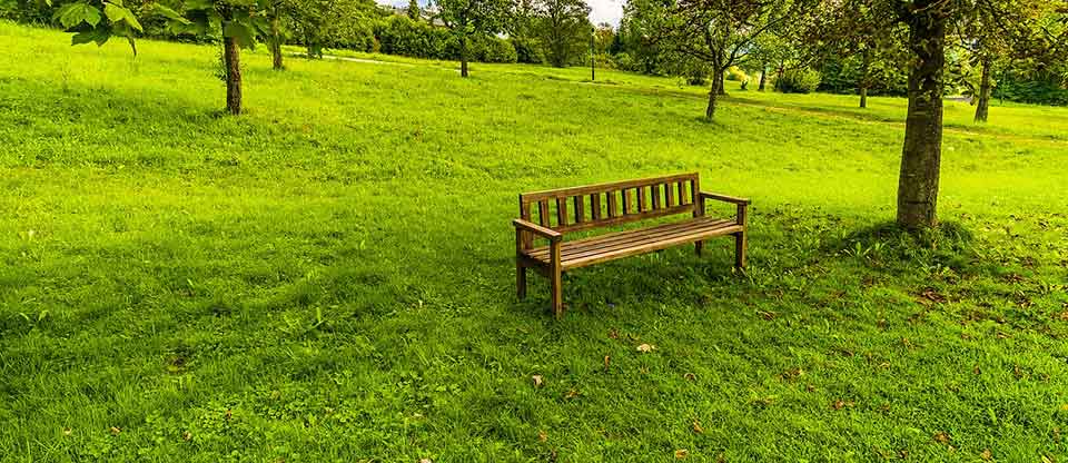 A photograph of a simple wooden bench sitting on a bright green sloping hill covered in grass with trees dotting the landscape in the backgroundf