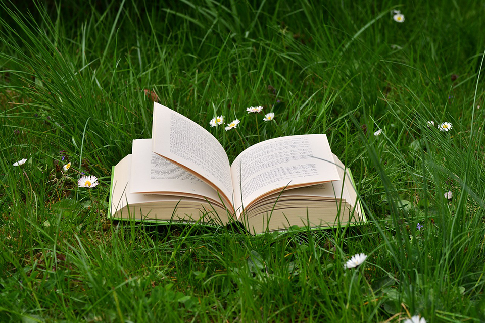 Book outside in grass