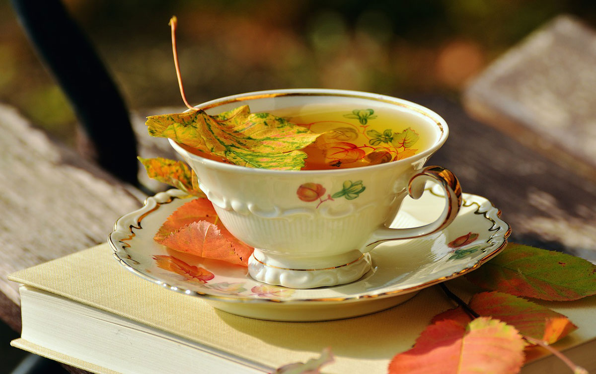 Book with a cup tea and fall leaves