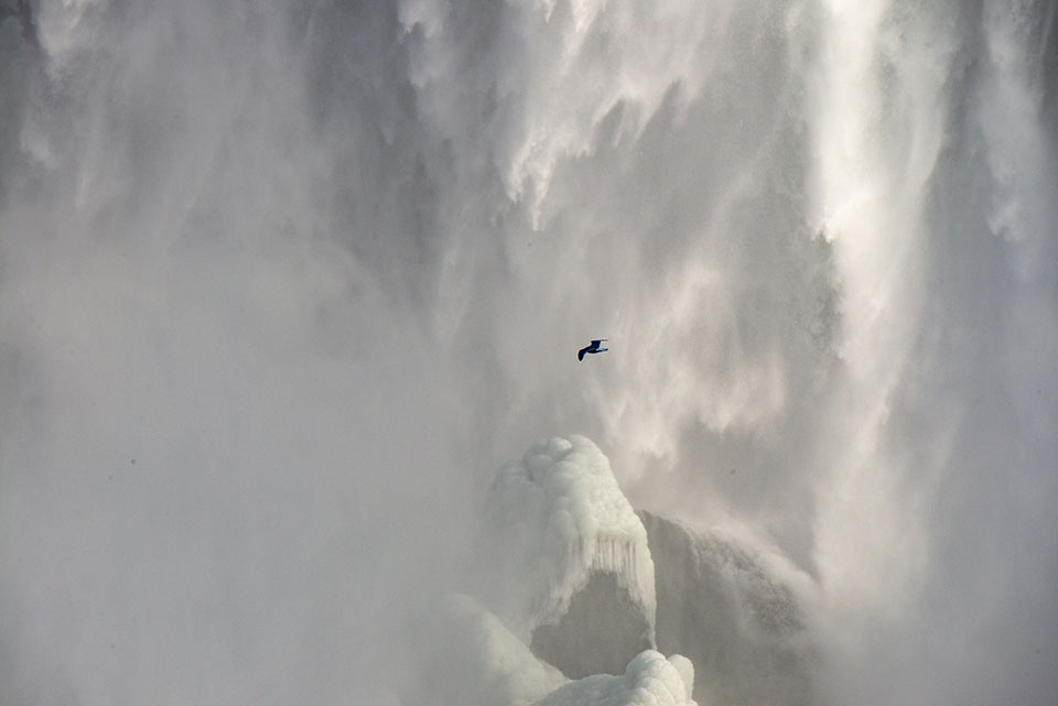 A photograph of Niagara Falls with a bird flying in the spray