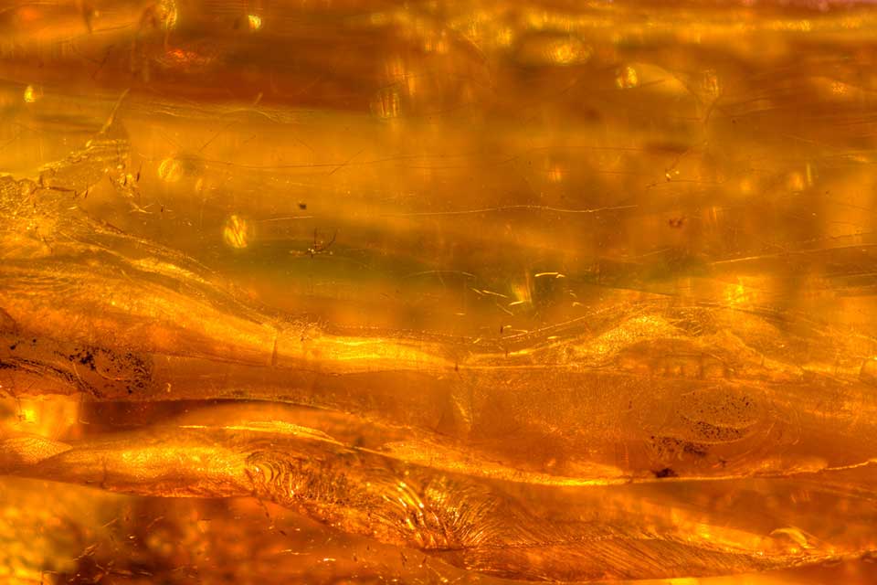 A close up the dense textures in a piece of amber