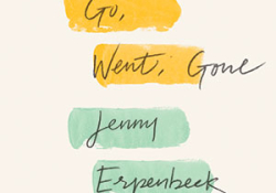 go went gone by jenny erpenbeck