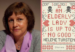 helene tursten an elderly lady is up to no good