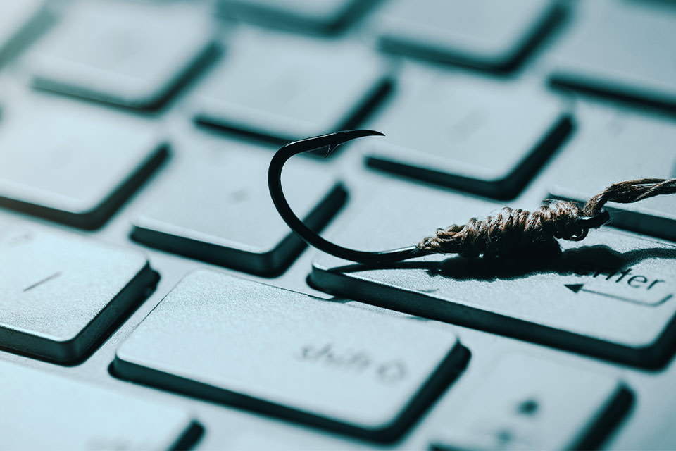 A photograph of an insect crawling across a computer keyboard