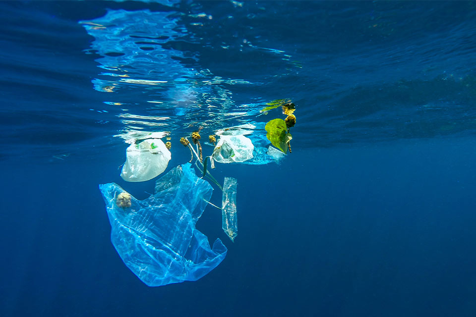 A photograph of trash floating in the ocean