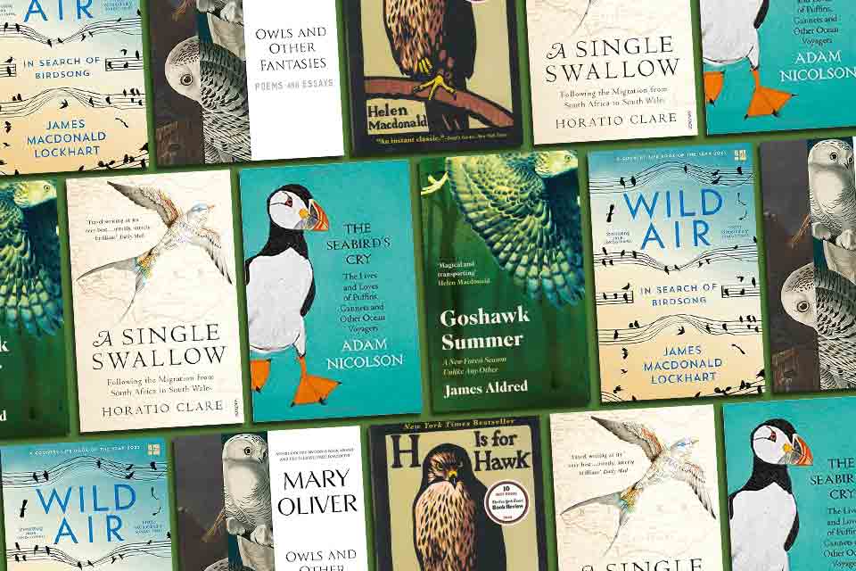 A tile collage of the covers to the books discussed below