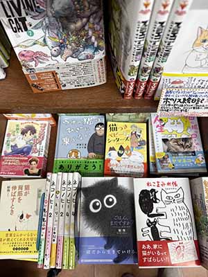 Looking down at a display of books, many of them featuring a cat on the cover