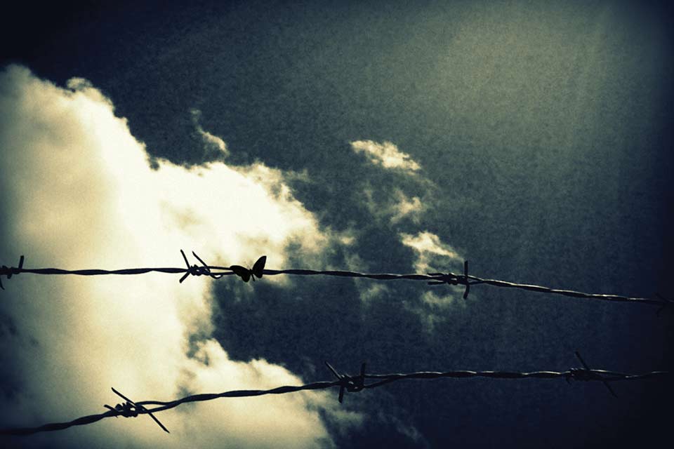 Looking up through a barbed wire fence at clouds gathering in the sky. The picture has a surreal yellow tint from a digital filter.