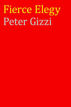 The cover to Fierce Elegy by Peter Gizzi