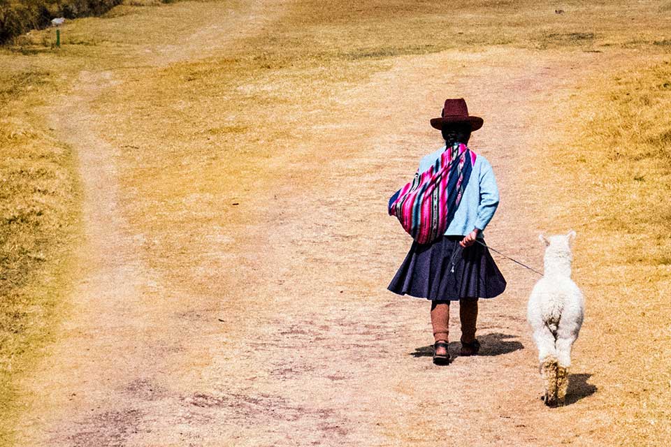 A young girl in South American garb is walking with a sheep along a dirt path