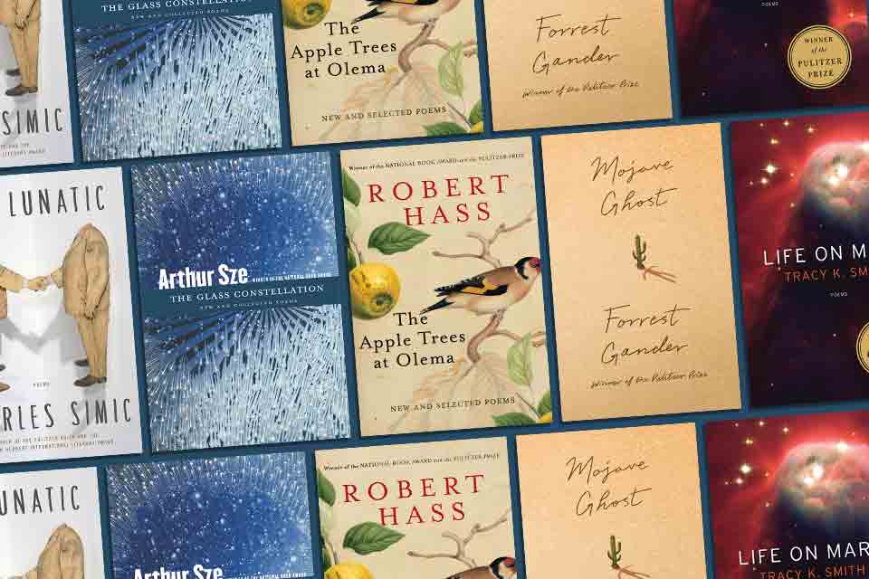 Covers to some of the book's discussed below