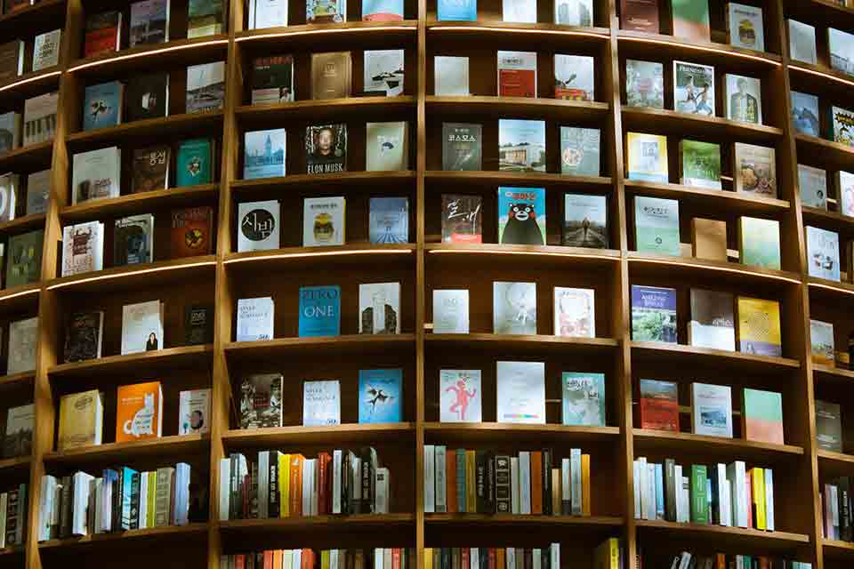 Books on a curved bookshelf