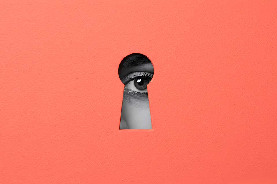An eye, rendered in black and white, peers through a keyhole shape in a salmon colored rectangle