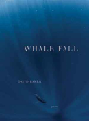 The cover to Whale Fall by David Baker