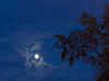 Moon in the sky