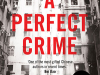 Cover to A Perfect Crime by A Yi
