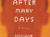 The cover to And after Many Days by Jowhor Ile