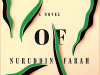 The cover to North of Dawn by Nuruddin Farah