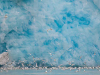 Seagulls fills the water at the foot of a massive, sky blue glacier