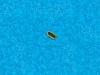 The cover to Small Boat by Vincent Delecroix
