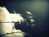 Looking up through a barbed wire fence at clouds gathering in the sky. The picture has a surreal yellow tint from a digital filter.