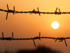 A bleary orange sun is setting, as seen through a barbed wire fence.