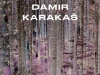 The cover to Celebration by Damir Karakaš