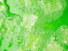 Ice-cubes floating in a fizzy green liquid