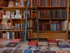 The interior of a private library. A ladder rests on the wooden shelves.