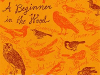 The cover to Bird School: A Beginner in the Wood by Adam Nicolson