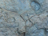 A craggy rock face