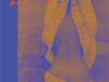 The cover to Carapace Dancer: Spanish and Didxazá (Isthmus Zapotec) Poems by Natalia Toledo