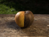 A photograph of a half rotted apple sitting on a table.