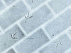 A photograph of bird tracks etched into a thin gauze of snow on brick