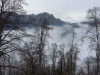 Mist rises above a forest at the foothills of a mountain range