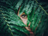 A human eye peers from the gap between numerous overlapping fern fronds