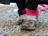 A refugee’s shoes are worn, wet, and muddy after a long journey. These shoes are owned by Ali, a Yazidi refugee who traveled from Iraq to Preševo, Serbia, to avoid persecution (photo by Meabh Smith / Trócaire).